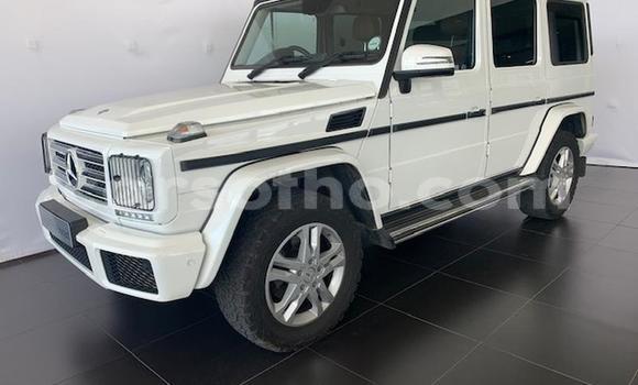 اشتري مستعمل Mercedes-Benz G-klasse AMG White سيارة في Maputsoa في Leribe اشتري مستعمل Mercedes-Benz G-klasse AMG White سيارة في Maputsoa في Leribe