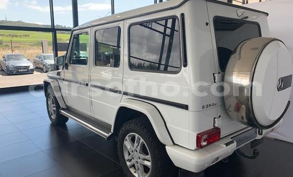 اشتري مستعمل Mercedes-Benz G-klasse AMG White سيارة في Maputsoa في Leribe اشتري مستعمل Mercedes-Benz G-klasse AMG White سيارة في Maputsoa في Leribe