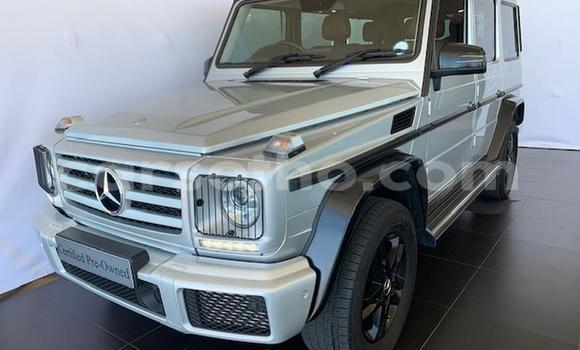 اشتري مستعمل Mercedes-Benz G-klasse AMG Silver سيارة في Maputsoa في Leribe اشتري مستعمل Mercedes-Benz G-klasse AMG Silver سيارة في Maputsoa في Leribe