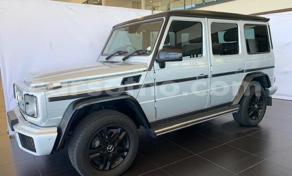 اشتري مستعمل Mercedes-Benz G-klasse AMG Silver سيارة في Maputsoa في Leribe اشتري مستعمل Mercedes-Benz G-klasse AMG Silver سيارة في Maputsoa في Leribe