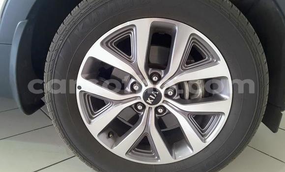 اشتري مستعمل Kia Sportage Silver سيارة في Maseru في Maseru اشتري مستعمل Kia Sportage Silver سيارة في Maseru في Maseru