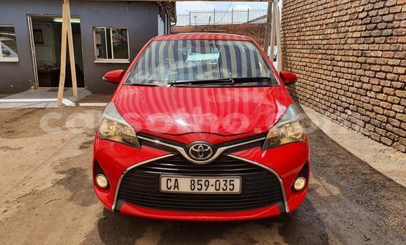 اشتري مستعمل Toyota Yaris Red سيارة في Maseru في Maseru اشتري مستعمل Toyota Yaris Red سيارة في Maseru في Maseru
