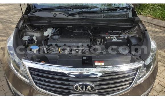 اشتري مستعمل Kia Sportage Other سيارة في Maseru في Maseru اشتري مستعمل Kia Sportage Other سيارة في Maseru في Maseru