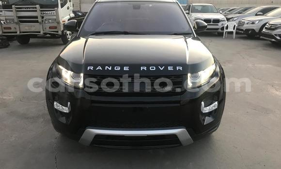 Sayi Na hannu Rover Maestro Black Mota in Maputsoe a Leribe