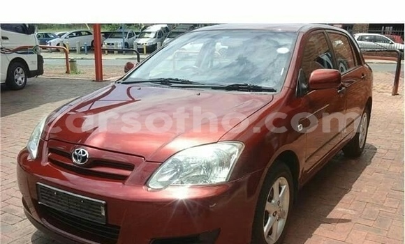 اشتري مستعمل Toyota Runx Other سيارة في Maseru في Maseru اشتري مستعمل Toyota Runx Other سيارة في Maseru في Maseru