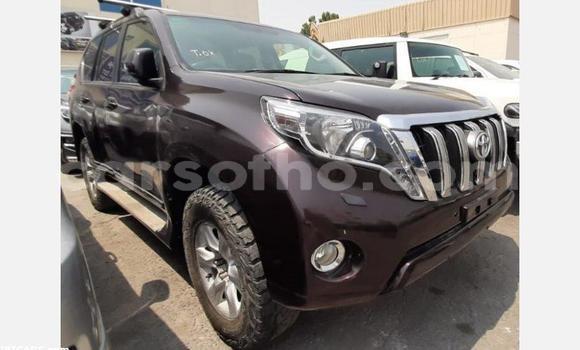 Acheter Occasion Voiture Toyota Land Cruiser Prado Rouge à Mafeteng, Mafeteng Acheter Occasion Voiture Toyota Land Cruiser Prado Rouge à Mafeteng, Mafeteng