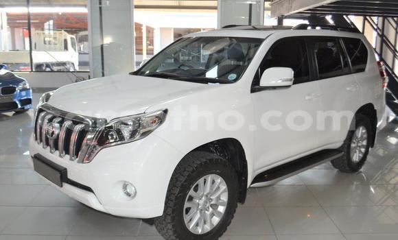 اشتري مستعمل Toyota Land Cruiser White سيارة في Teyateyaneng في Berea اشتري مستعمل Toyota Land Cruiser White سيارة في Teyateyaneng في Berea