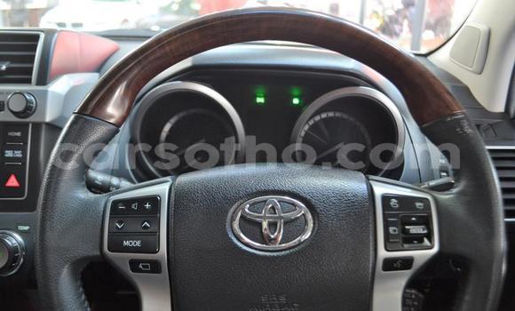 اشتري مستعمل Toyota Land Cruiser White سيارة في Teyateyaneng في Berea اشتري مستعمل Toyota Land Cruiser White سيارة في Teyateyaneng في Berea