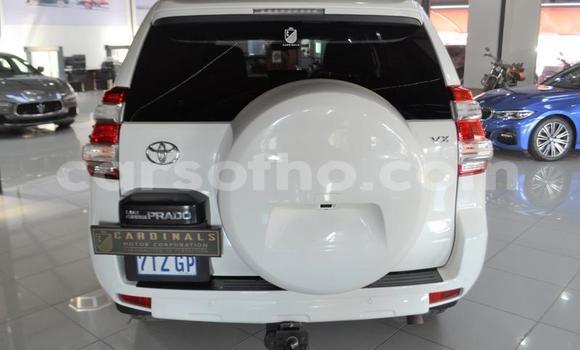 اشتري مستعمل Toyota Land Cruiser White سيارة في Teyateyaneng في Berea اشتري مستعمل Toyota Land Cruiser White سيارة في Teyateyaneng في Berea