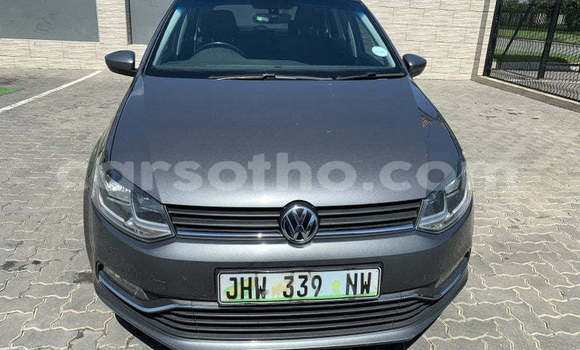 Buy Used Volkswagen Polo Silver Car in Maseru in Maseru Buy Used Volkswagen Polo Silver Car in Maseru in Maseru
