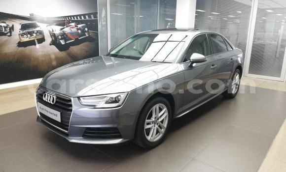 اشتري مستعمل Audi A4 Silver سيارة في Mafeteng في Mafeteng اشتري مستعمل Audi A4 Silver سيارة في Mafeteng في Mafeteng