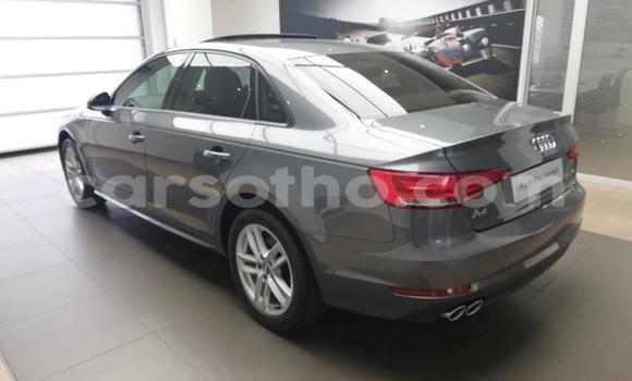 اشتري مستعمل Audi A4 Silver سيارة في Mafeteng في Mafeteng اشتري مستعمل Audi A4 Silver سيارة في Mafeteng في Mafeteng