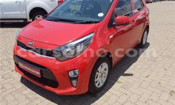 Sayi Na hannu Kia Picanto White Mota in Butha Buthe a Butha-Buthe