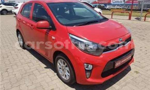 Acheter Occasion Voiture Kia Picanto Blanc à Butha Buthe, Butha-Buthe Acheter Occasion Voiture Kia Picanto Blanc à Butha Buthe, Butha-Buthe