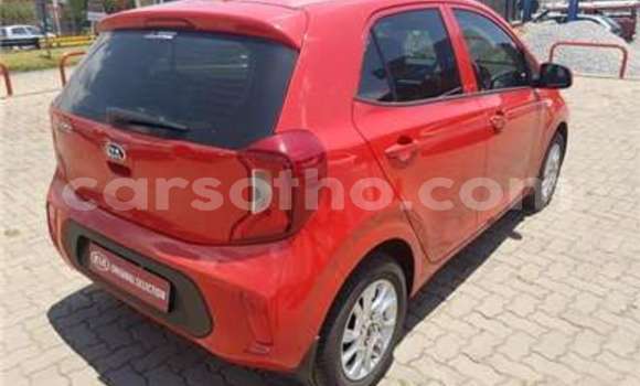 Acheter Occasion Voiture Kia Picanto Blanc à Butha Buthe, Butha-Buthe Acheter Occasion Voiture Kia Picanto Blanc à Butha Buthe, Butha-Buthe