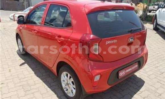 Acheter Occasion Voiture Kia Picanto Blanc à Butha Buthe, Butha-Buthe Acheter Occasion Voiture Kia Picanto Blanc à Butha Buthe, Butha-Buthe