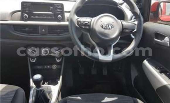 Acheter Occasion Voiture Kia Picanto Blanc à Butha Buthe, Butha-Buthe Acheter Occasion Voiture Kia Picanto Blanc à Butha Buthe, Butha-Buthe