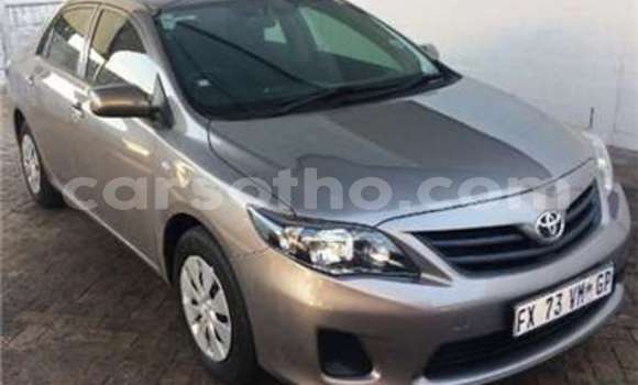 Acheter Occasion Voiture Toyota Corolla Marron à Butha Buthe, Butha-Buthe Acheter Occasion Voiture Toyota Corolla Marron à Butha Buthe, Butha-Buthe
