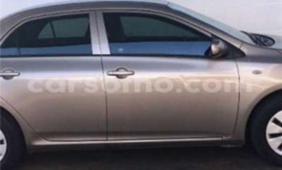 Acheter Occasion Voiture Toyota Corolla Marron à Butha Buthe, Butha-Buthe Acheter Occasion Voiture Toyota Corolla Marron à Butha Buthe, Butha-Buthe