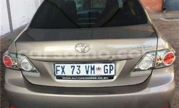 Acheter Occasion Voiture Toyota Corolla Marron à Butha Buthe, Butha-Buthe Acheter Occasion Voiture Toyota Corolla Marron à Butha Buthe, Butha-Buthe