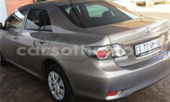 Acheter Occasion Voiture Toyota Corolla Marron à Butha Buthe, Butha-Buthe Acheter Occasion Voiture Toyota Corolla Marron à Butha Buthe, Butha-Buthe