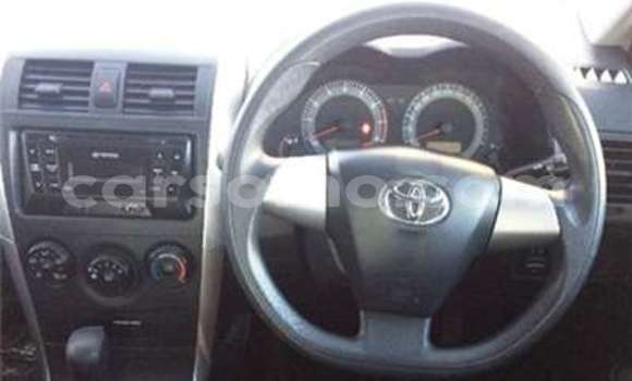 Acheter Occasion Voiture Toyota Corolla Marron à Butha Buthe, Butha-Buthe Acheter Occasion Voiture Toyota Corolla Marron à Butha Buthe, Butha-Buthe
