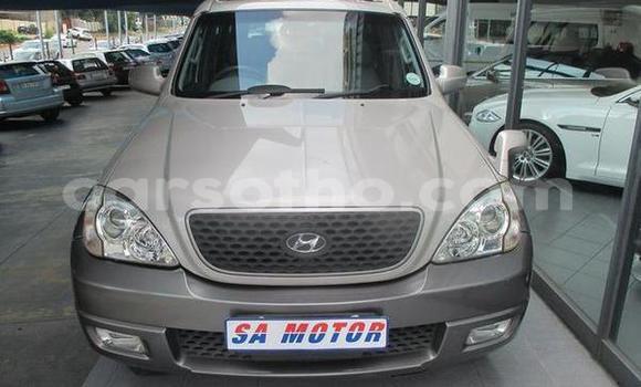 Buy Used Hyundai Terracan Silver Car in Mohale's Hoek in Mohale's Hoek Buy Used Hyundai Terracan Silver Car in Mohale's Hoek in Mohale's Hoek