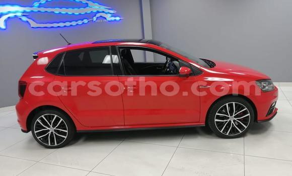 اشتري مستعمل Volkswagen Polo GTI Red سيارة في Maseru في Maseru اشتري مستعمل Volkswagen Polo GTI Red سيارة في Maseru في Maseru