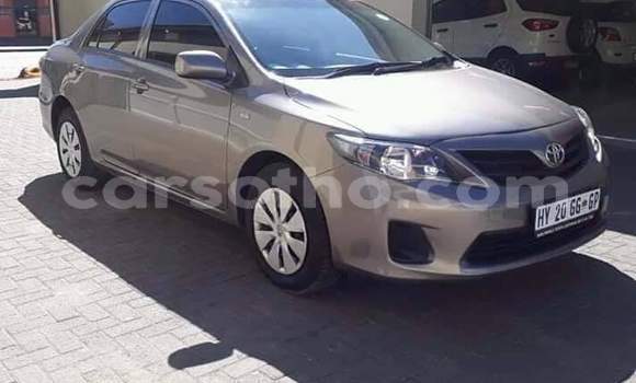 Sayi Na hannu Toyota Corolla Silver Mota in Thaba–Tseka a Mafeteng Sayi Na hannu Toyota Corolla Silver Mota in Thaba–Tseka a Mafeteng