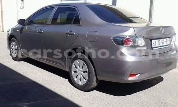 Sayi Na hannu Toyota Corolla Silver Mota in Thaba–Tseka a Mafeteng Sayi Na hannu Toyota Corolla Silver Mota in Thaba–Tseka a Mafeteng