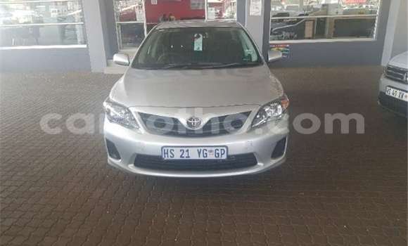 Buy Used Toyota Corolla Silver Car in Maseru in Maseru Buy Used Toyota Corolla Silver Car in Maseru in Maseru