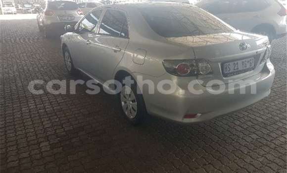 Buy Used Toyota Corolla Silver Car in Maseru in Maseru Buy Used Toyota Corolla Silver Car in Maseru in Maseru