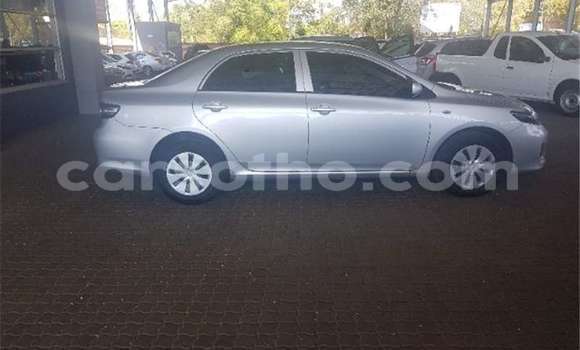 Buy Used Toyota Corolla Silver Car in Maseru in Maseru Buy Used Toyota Corolla Silver Car in Maseru in Maseru