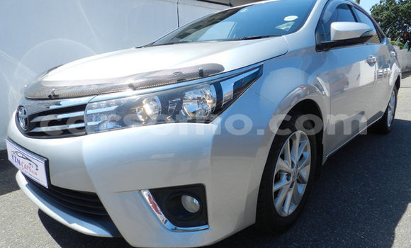 Buy Used Toyota Corolla Silver Car in Maseru in Maseru Buy Used Toyota Corolla Silver Car in Maseru in Maseru