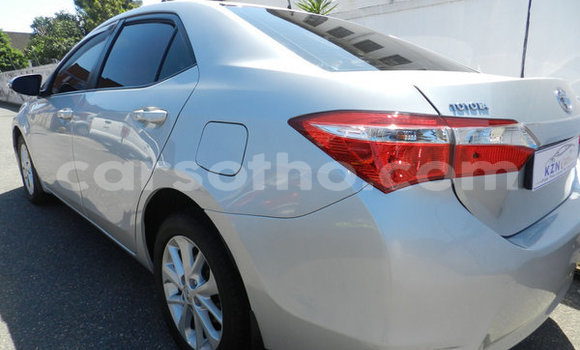 Buy Used Toyota Corolla Silver Car in Maseru in Maseru Buy Used Toyota Corolla Silver Car in Maseru in Maseru