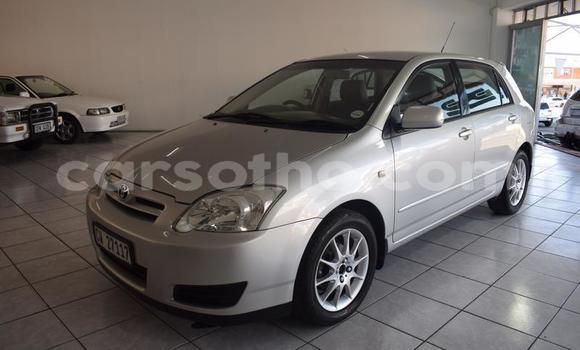 Acheter Occasion Voiture Toyota Runx Gris à Maseru, Maseru Acheter Occasion Voiture Toyota Runx Gris à Maseru, Maseru