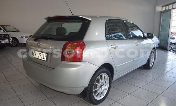 Acheter Occasion Voiture Toyota Runx Gris à Maseru, Maseru Acheter Occasion Voiture Toyota Runx Gris à Maseru, Maseru