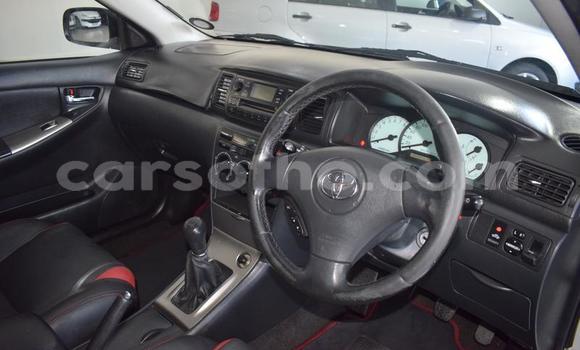 Acheter Occasion Voiture Toyota Runx Gris à Maseru, Maseru Acheter Occasion Voiture Toyota Runx Gris à Maseru, Maseru