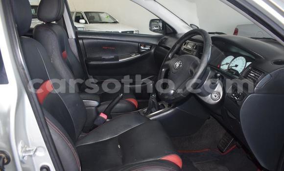 Acheter Occasion Voiture Toyota Runx Gris à Maseru, Maseru Acheter Occasion Voiture Toyota Runx Gris à Maseru, Maseru