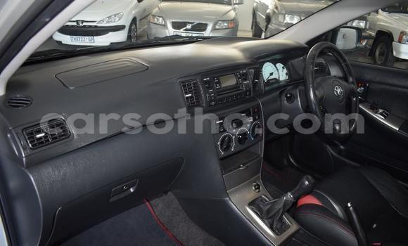 Acheter Occasion Voiture Toyota Runx Gris à Maseru, Maseru Acheter Occasion Voiture Toyota Runx Gris à Maseru, Maseru