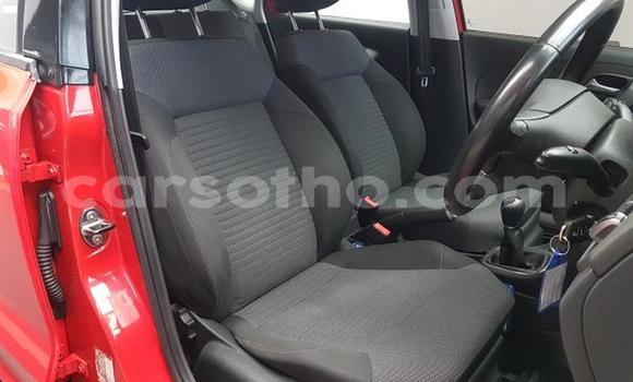 اشتري مستعمل Volkswagen Polo Red سيارة في Maseru في Maseru اشتري مستعمل Volkswagen Polo Red سيارة في Maseru في Maseru