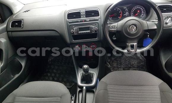 اشتري مستعمل Volkswagen Polo Red سيارة في Maseru في Maseru اشتري مستعمل Volkswagen Polo Red سيارة في Maseru في Maseru