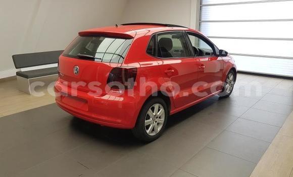 اشتري مستعمل Volkswagen Polo Red سيارة في Maseru في Maseru اشتري مستعمل Volkswagen Polo Red سيارة في Maseru في Maseru
