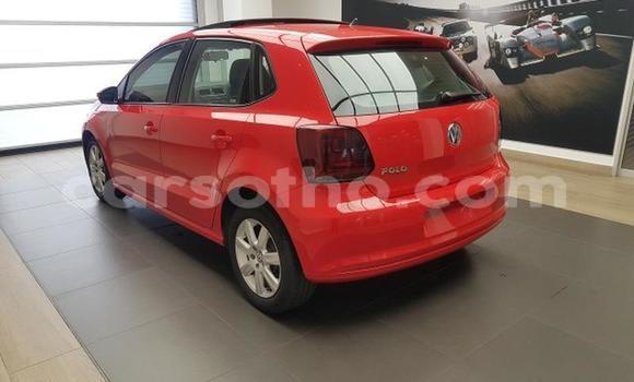 اشتري مستعمل Volkswagen Polo Red سيارة في Maseru في Maseru اشتري مستعمل Volkswagen Polo Red سيارة في Maseru في Maseru