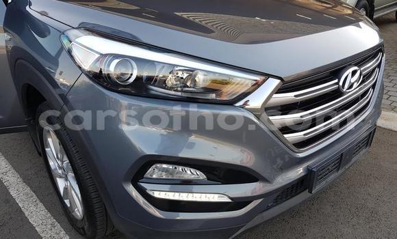 Sayi Na hannu Hyundai Tucson Other Mota in Maseru a Maseru Sayi Na hannu Hyundai Tucson Other Mota in Maseru a Maseru