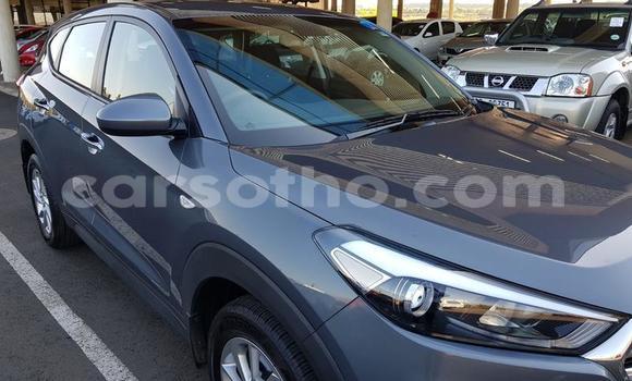 Sayi Na hannu Hyundai Tucson Other Mota in Maseru a Maseru Sayi Na hannu Hyundai Tucson Other Mota in Maseru a Maseru