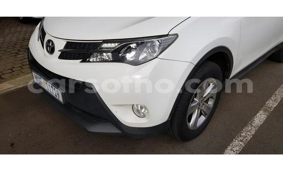 Sayi Na hannu Toyota RAV4 White Mota in Maseru a Maseru Sayi Na hannu Toyota RAV4 White Mota in Maseru a Maseru