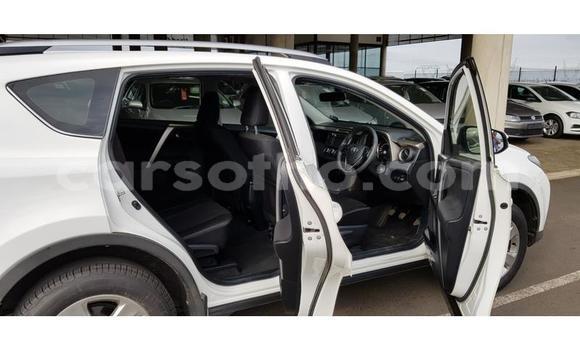 Sayi Na hannu Toyota RAV4 White Mota in Maseru a Maseru Sayi Na hannu Toyota RAV4 White Mota in Maseru a Maseru