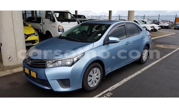 Sayi Na hannu Toyota Corolla Blue Mota in Maseru a Maseru Sayi Na hannu Toyota Corolla Blue Mota in Maseru a Maseru