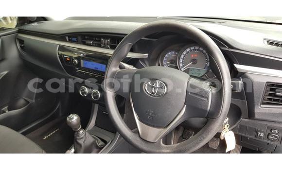 Sayi Na hannu Toyota Corolla Blue Mota in Maseru a Maseru Sayi Na hannu Toyota Corolla Blue Mota in Maseru a Maseru